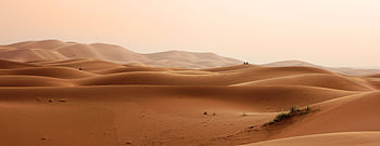 Expansive golden sand dunes basking under a clear sky, capturing nature's arid beauty. HD wallpaper
