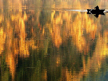 On Golden Pond, row boat, rowing boat, henry fonda, autumn, gold, pond HD wallpaper