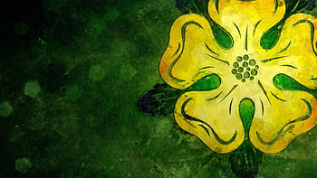 GOT : Rose of Highgarden by McNealy.deviantart.com on @deviantART HD wallpaper