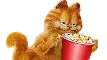 Garfield, Garfield , Playful cat charm HD wallpaper