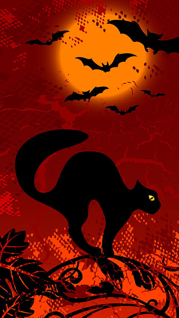 Halloween Black Cat and Bats , Black Cat, bat, holiday, halloween HD phone wallpaper