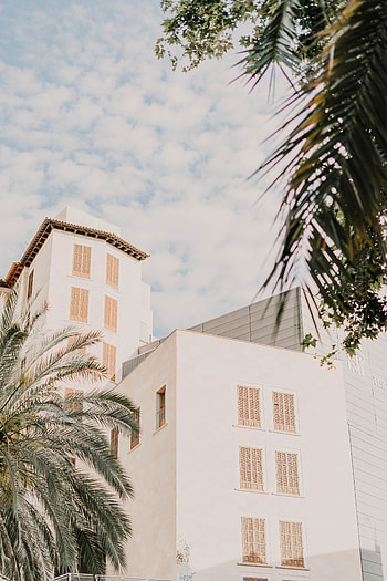 Cities, Architecture, Palms, Building, Facade HD phone wallpaper