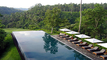 infinity jungle pool, chairs, pool, umbrellas, jungle HD wallpaper