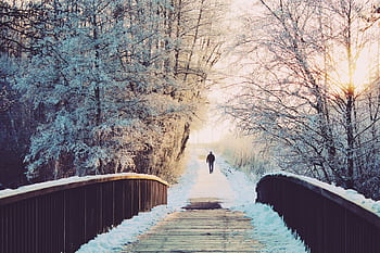 A solitary walk on a frosty bridge surrounded by snow-covered trees during sunrise. HD wallpaper