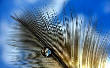 ethereality, blue, feather, sky, droplet HD wallpaper