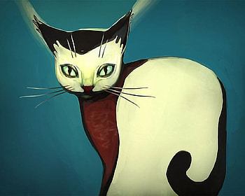 cat, animal, meow, kitty HD wallpaper