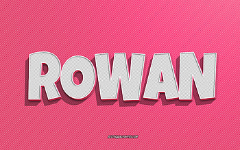 Rowan, pink lines background, with names, Rowan name, female names, Rowan greeting card, line art, with Rowan name HD wallpaper