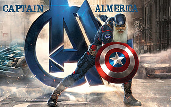 Captain Almerica, technology, funny, people, entertainment HD wallpaper