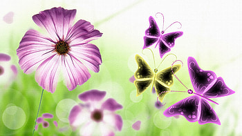Purple Flowers and Butterflies, firefox persona, spring, artistic, summer, butterflies, butterfly, daisy, green, flowers, gerbera HD wallpaper