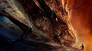 Desolation of Smaug, , Stunning background, Epic scenery HD wallpaper