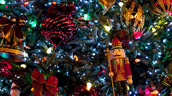 Nutcracker, Captivating , Magical holiday spirit, Stunning visuals HD wallpaper