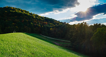 Nature, Trees, Grass, Sky, Summer, Elevation HD wallpaper