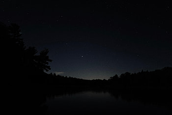 Night, Lake, Dark, Silhouette, Branches HD wallpaper