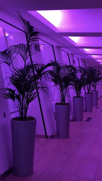 Purple Aesthetic, Aesthetic Home HD phone wallpaper