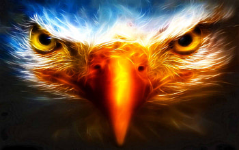 Where Eagle Stare, fractalius, birds, eagle, beauty HD wallpaper