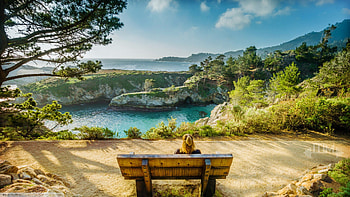 Girl Sitting On Bench, girls, nature HD wallpaper