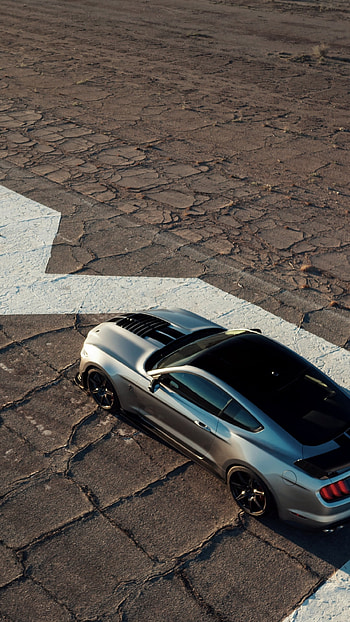 Shelby GT500 | Mustang Asphalt Icon | Trackside Roar, vehicle HD phone wallpaper