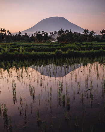 Nature, Rivers, Twilight, Palms, Dusk, Hill HD phone wallpaper