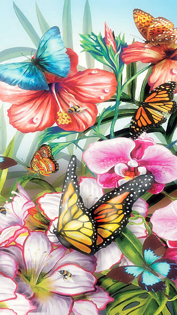 Color Butterflies 6 plus , 6 Plus HD phone wallpaper