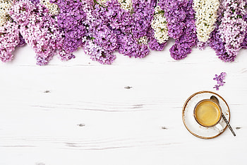 food, coffee HD wallpaper