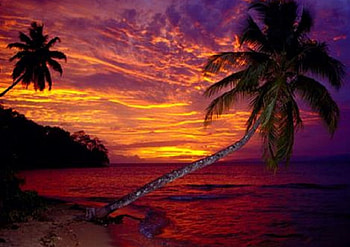 Island, Beach, Ocean, Sea HD wallpaper