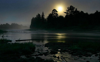 Landscape, Rivers, Trees HD wallpaper