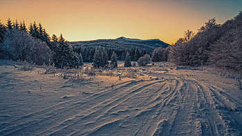 Winter Sunset: Frosted Tracks to Silent Pines, Cold, Winter Scene, Landscape HD wallpaper