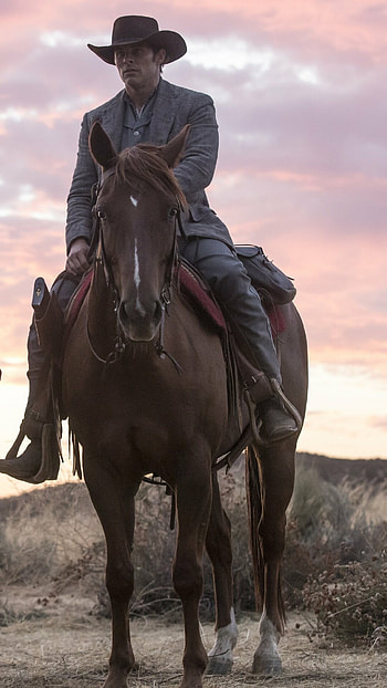Teddy Flood, Westworld HD phone wallpaper