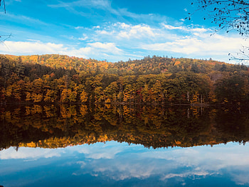 Fall, autumn, lake, trees, reflections, nature HD wallpaper