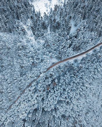 Winter, Nature, Trees, Snow, View From Above, Forest, Snow Covered, Snowbound HD phone wallpaper