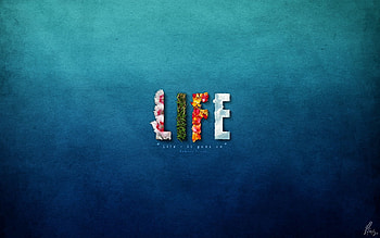 Flowers, Words, Bright, Sweet, Colors, Color, Life HD wallpaper