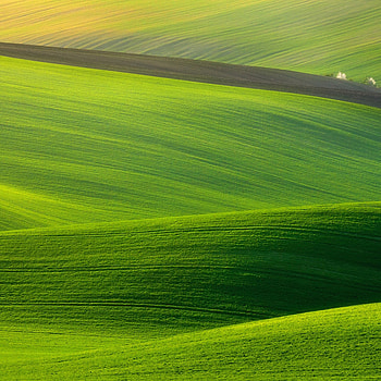 Green grassland iPad, Air 2 , iPad air 2 , tablet explore HD phone wallpaper