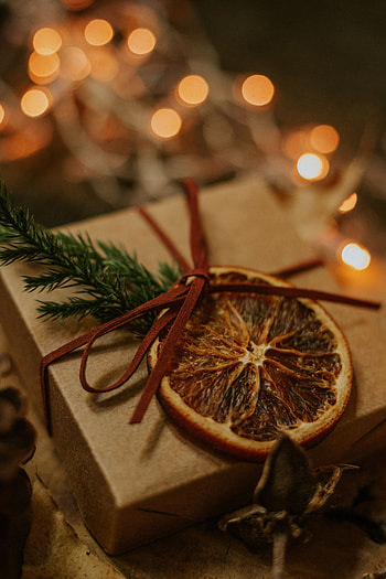Holidays, Branch, Box, Gift, Present, Bow, Lobule, Clove HD phone wallpaper