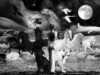 Black And White Fantasy, birds, tiger, horses, moon, fantasy, abstract, animals, panther, women, ocean HD wallpaper