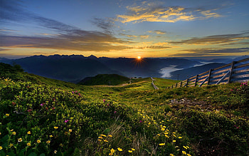 Mountain sunrise, rays, glow, serenity, sunrise, nice, quiet, wildflowers, fence, greenery, amazing, calm, sunset, slope, meadow, beautiful, grass, mountain, summer, field, nature, sky, flowers, lovely HD wallpaper