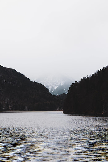Nature, Trees, Mountains, Forest, Ripples, Ripple, Fog HD phone wallpaper