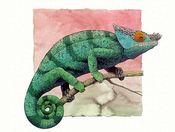 Lizard Art, branch, lizard, art HD wallpaper