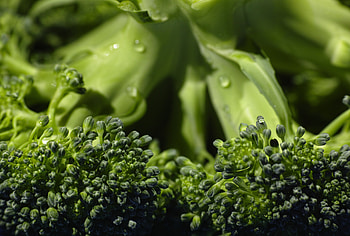 Cabbage, Macro, Close-Up, Vegetable, Broccoli HD wallpaper