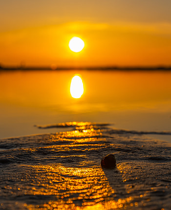 Nature, Water, Sunset, Sun, Beach, Sand, Reflection HD phone wallpaper