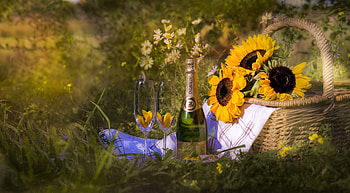 Summer Picnic , graphy, beautiful, sunflower, bottle, summer, basket, glass, flowers, lovely, wine HD wallpaper