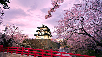 Landscape, Asia HD wallpaper