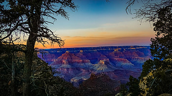 Grand Canyon, arizona, trees, landscape, rocks, mountains, sunset, usa HD wallpaper