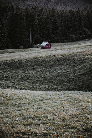Nature, Grass, Building, Forest, House, Field HD phone wallpaper
