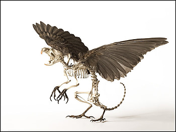 REAPER OF SMALL SOULS, bones, scary, 3d, fantasy, skeleton, cool, reaper HD wallpaper