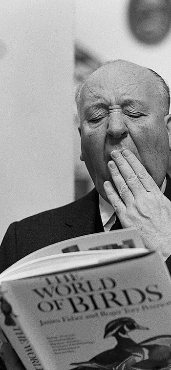 Alfred Hitchcock, , Posted, John Simpson HD phone wallpaper