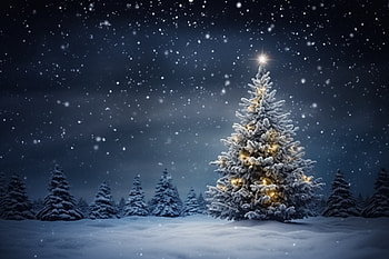 Christmas Tree — Snowy Night, Christmas HD wallpaper