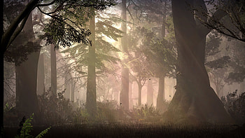 Garry's Mod, High-definition , Visual diversity, customization HD wallpaper