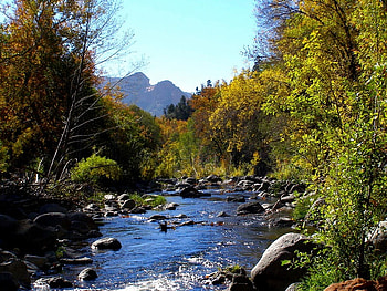 Crystal Clear Water Oak Creek, trees, sky, creek, water HD wallpaper