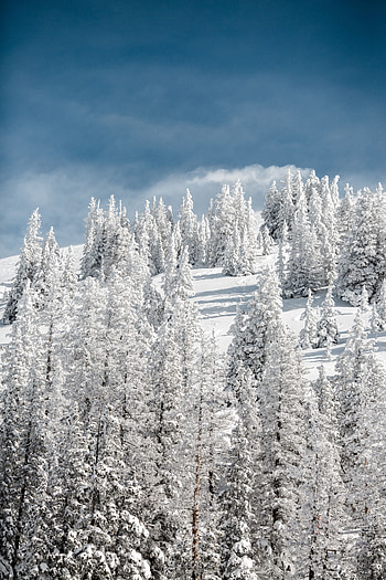 Winter, Nature, Trees, Sky, Snow, Snow Covered, Snowbound, Elevation HD phone wallpaper