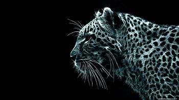 tiger, forest animals, animals, animated , best HD wallpaper